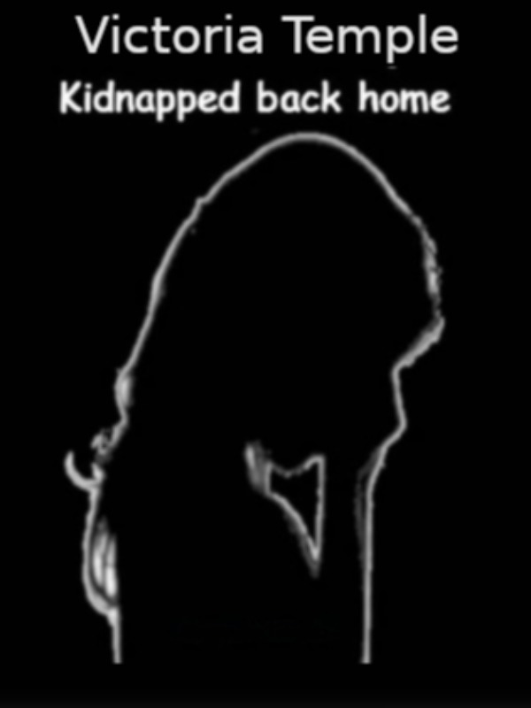 Kidnapped Back Home Book