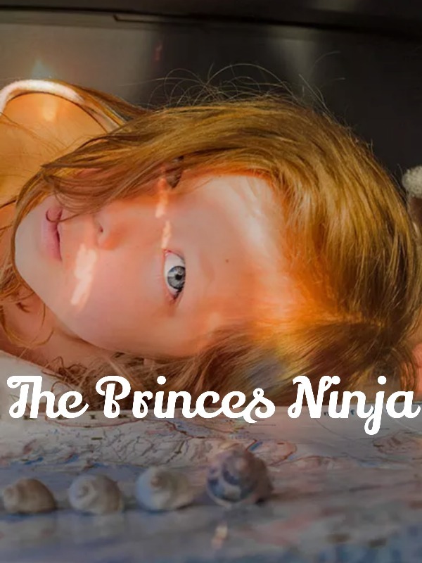 The Princes Ninja Book