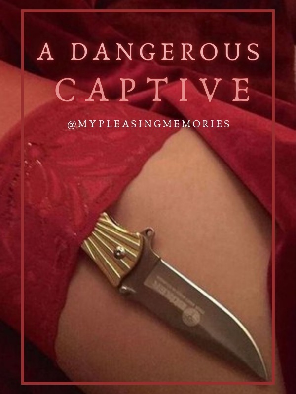 A Dangerous Captive Book