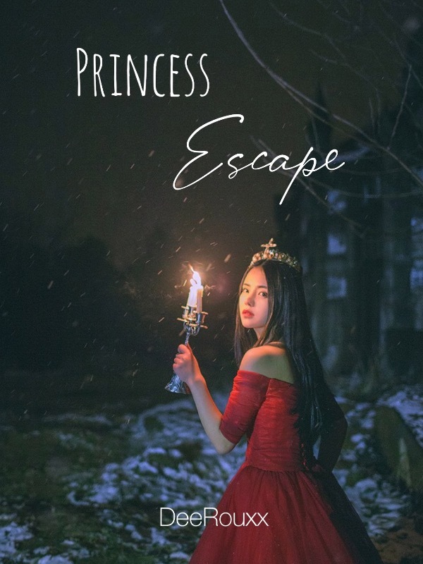Princess Escape Book
