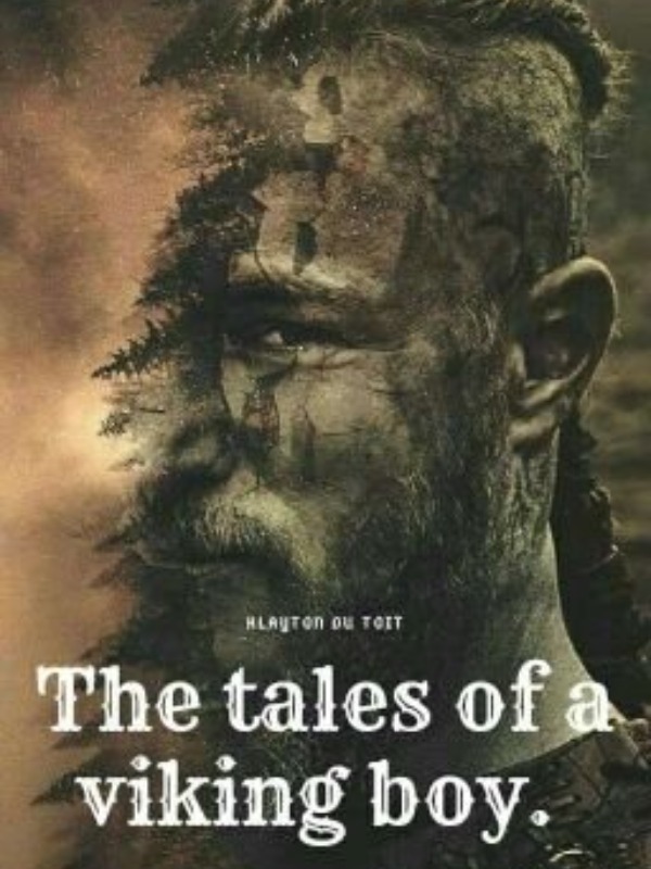 The Tales Of A Viking Boy Book