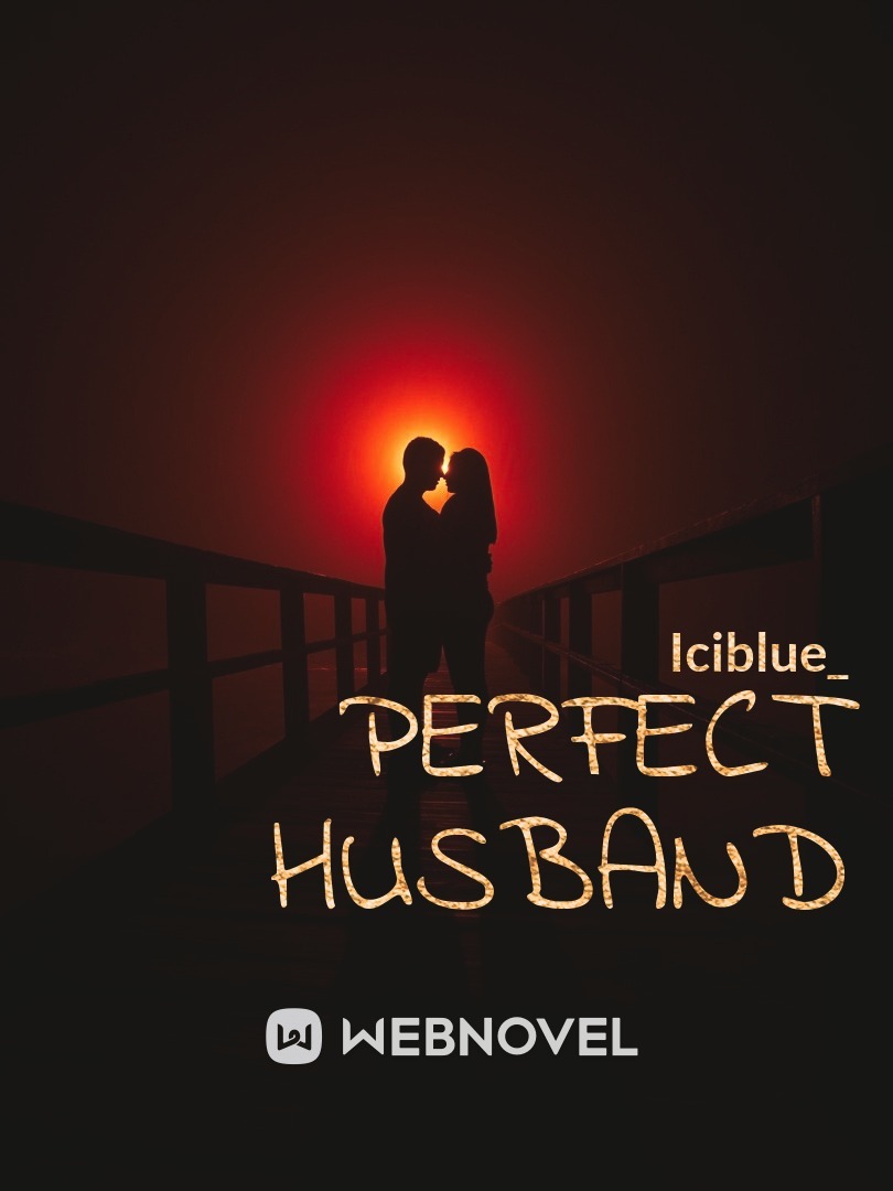 Perfect husband Book