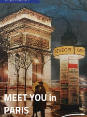 Meet You in Paris Book
