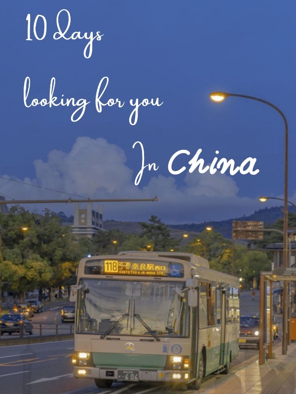 10 days looking for you in china Book