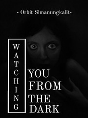 WATCHING YOU FROM THE DARK Book