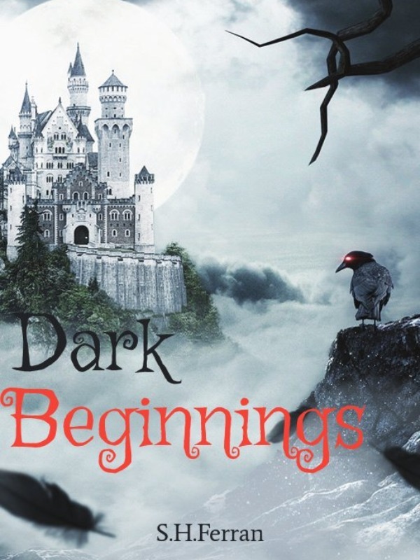 Dark Beginnings Book