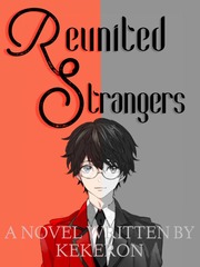 Reunited Strangers [BxB] Book