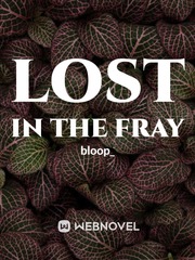 Lost in the Fray Book