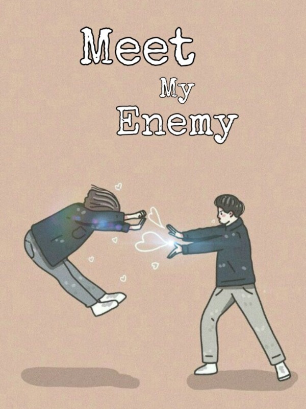 Meet My Enemy Book