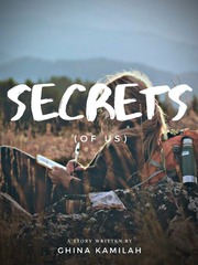 Secrets (Of Us) Book