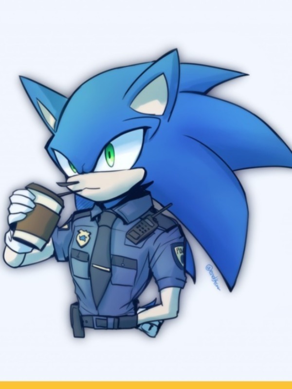 Sonic: The Love Of A Criminal