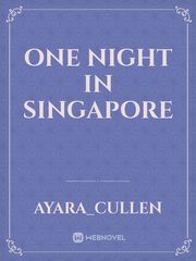 One night in Singapore Book