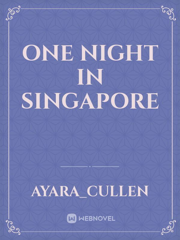 One night in Singapore Book