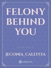 Felony Behind You Book