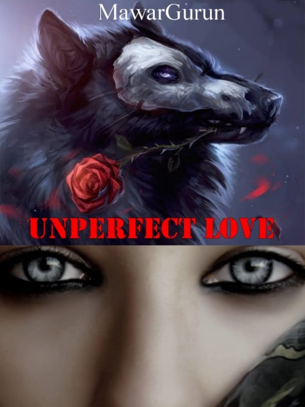 Unperfect Love Book