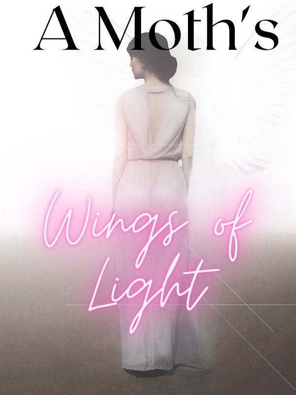 A Moth's Wings of Light Book