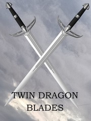 Twin Dragon Blades Book