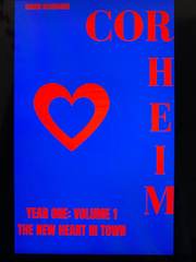 CORHEIM YEAR ONE: VOL 1

THE NEW HEART IN TOWN Book