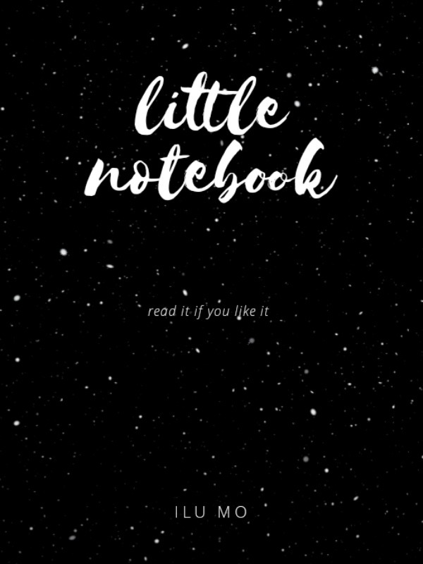 Little Notebook Book