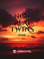 NOT REAL TWINS Book