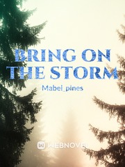 Bring on the storm Book