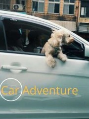 Car Adventure Book