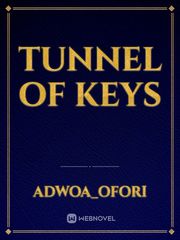 Tunnel of keys Book