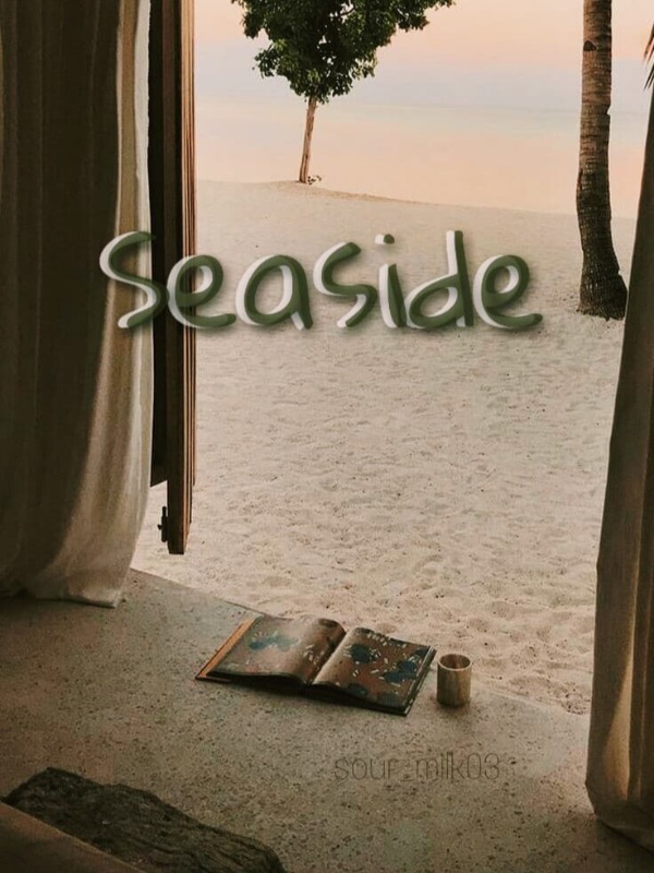 Seaside Book