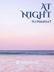 At Night Book