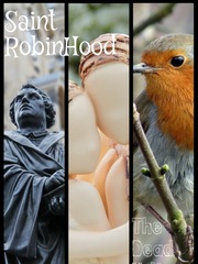 Saint RobinHood Book
