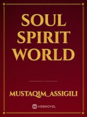 SOUL SPIRIT WORLD Book
