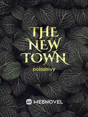 the new town Book