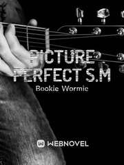 Picture Perfect S.M Book