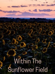 Within The Sunflower Fields Book