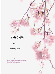 /HALCYON/ Book