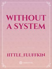 Without a system Book
