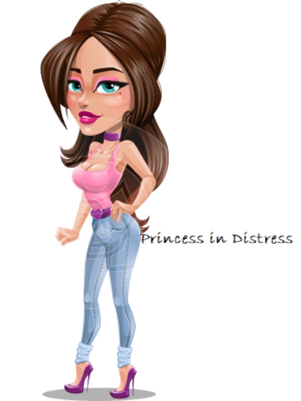 Princess in Distress Book