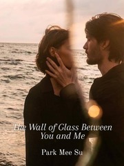 The Wall of Glass Between You and Me Book
