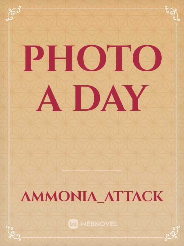 Photo a Day Book