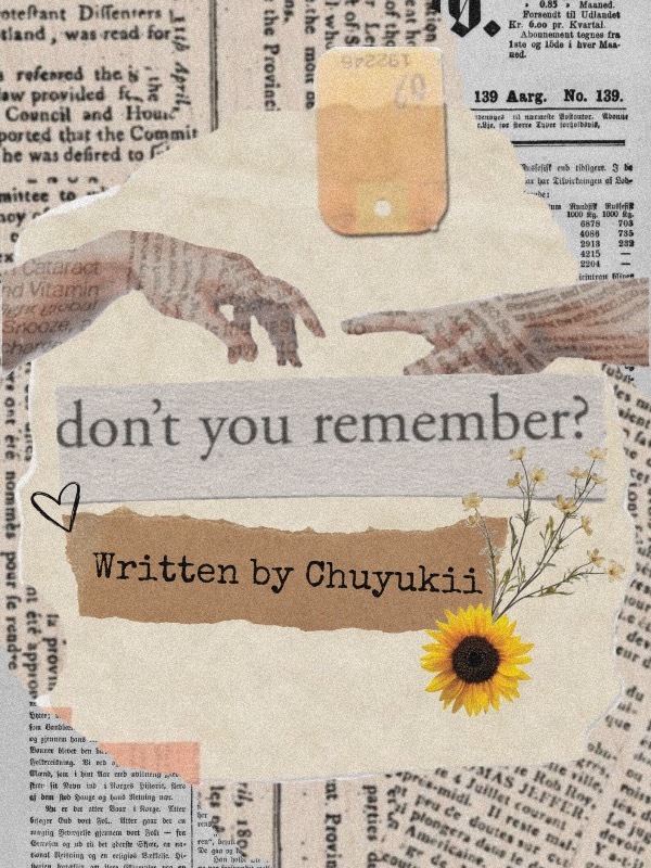 Don't You Remember? Book
