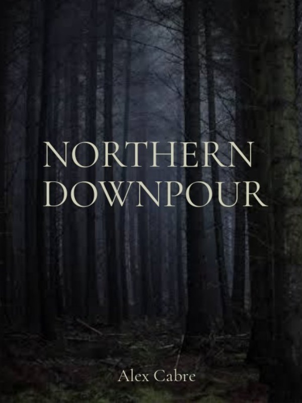 Northern Downpour Book