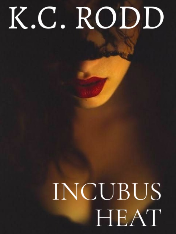 Incubus Heat: an erotic paranormal romance novel