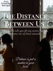 The Distance Between Us Book