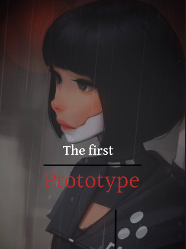 The first Prototype