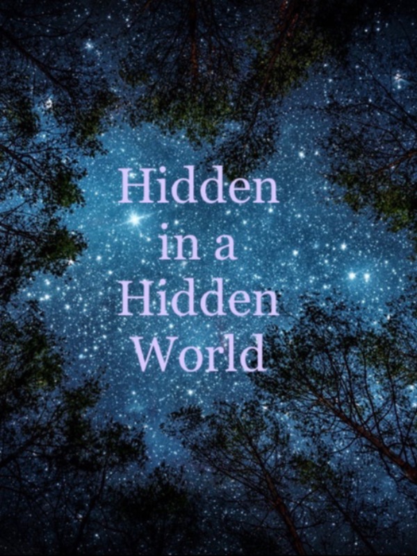 Hidden in a Hidden World Book