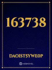 163738 Book