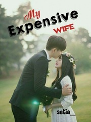 My Expensive Wife Book