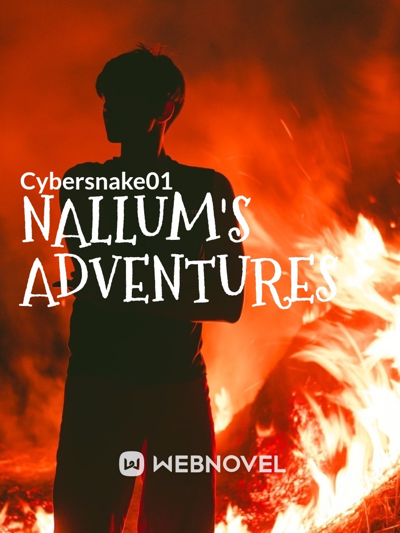 Nallum's Adventures Book
