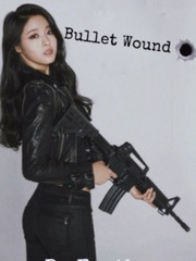 Bullet Wound Book