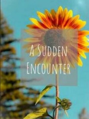 A Sudden Encounter Book